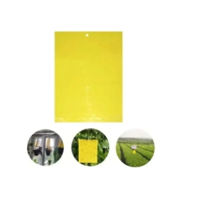 PLACAS JUMBO CROMATICAS P/MOSCAS