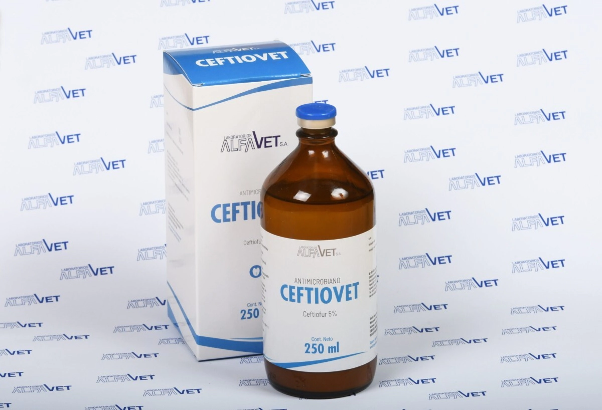 CEFTIOVET X 100 ML