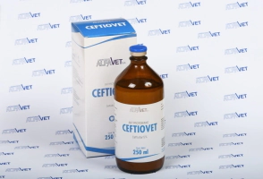 CEFTIOVET X 100 ML