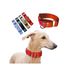 MARTINGALE PARA GALGOS
