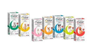 CIDAR DISPLAY X 21 UN