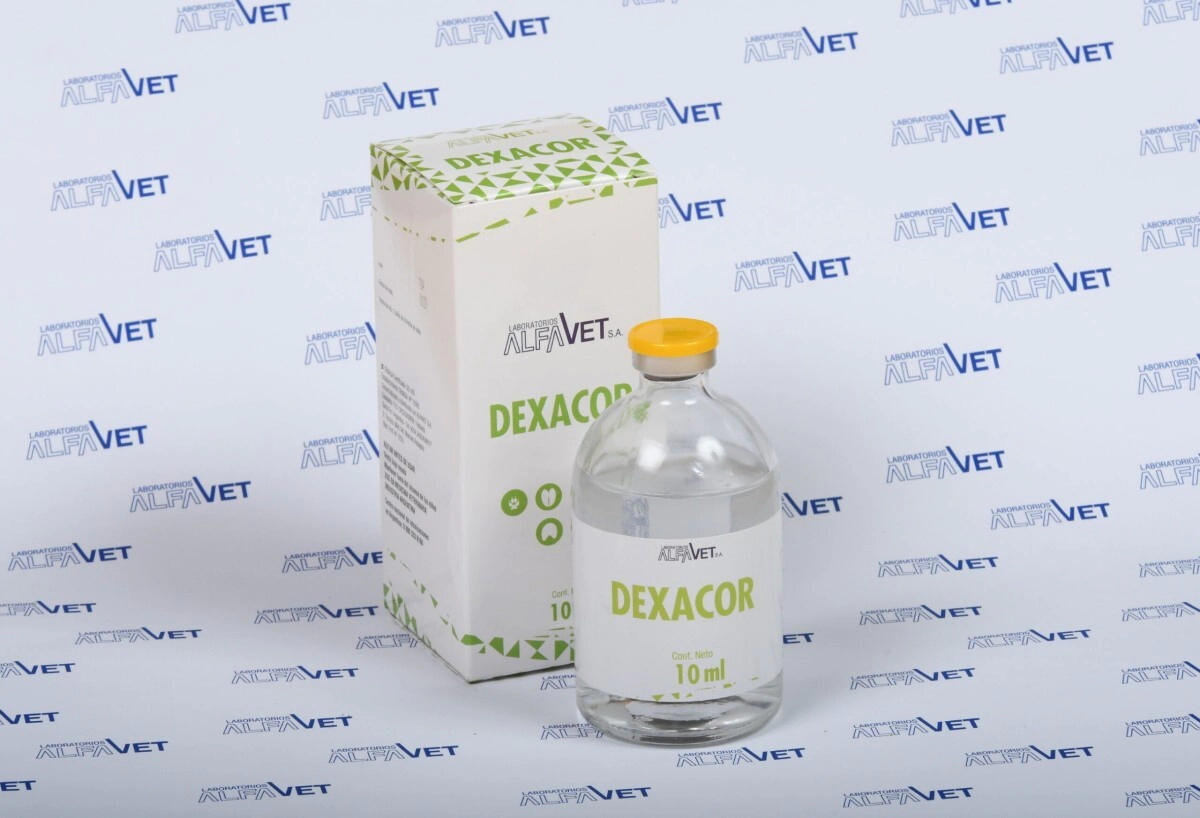 DEXACOR X 10 ML