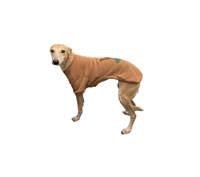 BUZO GALGO TALL