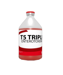 T5 - TRIPLE ENTEROT. x 50 DS.