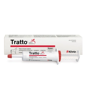 TRATTO PASTA X 26 GRS