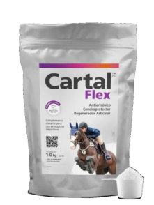 CARTAL FLEX x 1 KG
