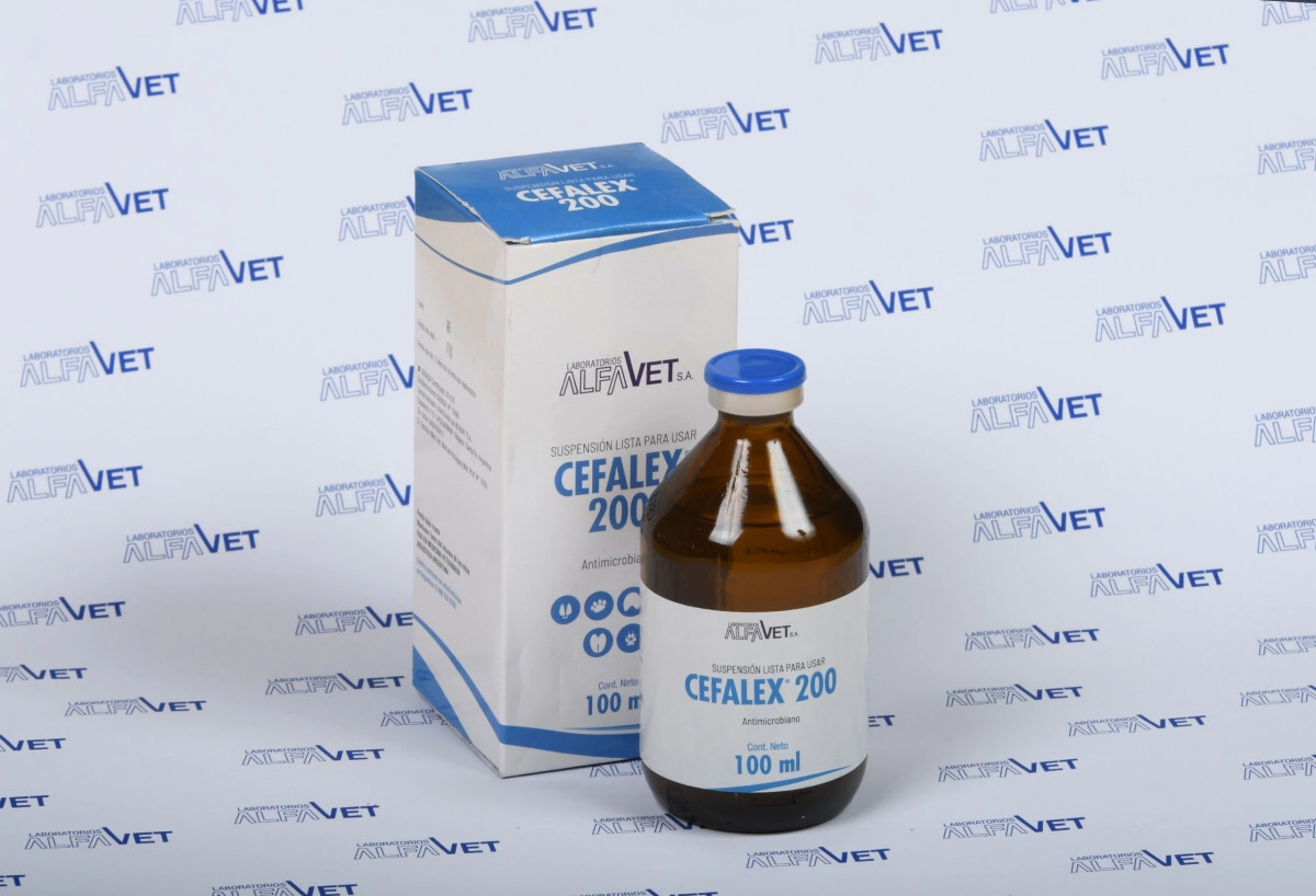 CEFALEX 200 X 100 ML
