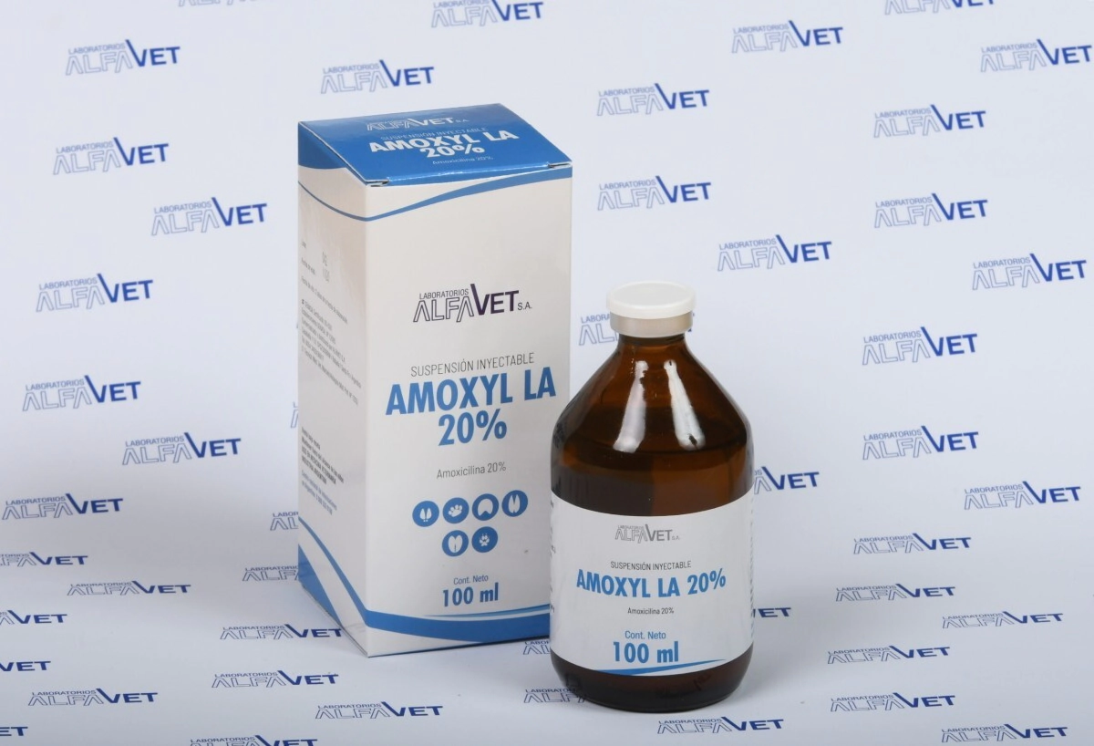 AMOXYL LA X 100 ML