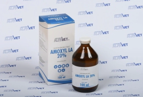 AMOXYL LA X 100 ML