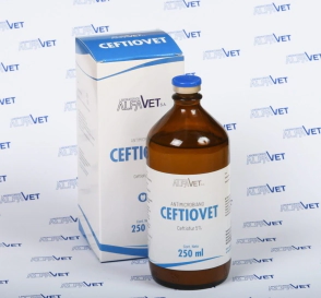 CEFTIOVET X 250 ML