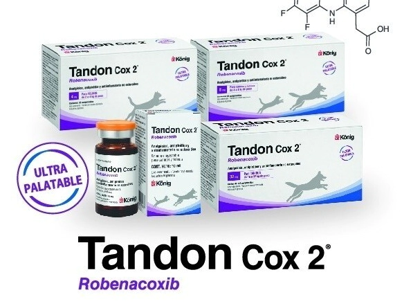 TANDON COX 2 INYECTABLE 2% X 10 ML