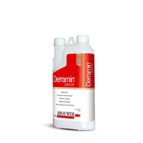 DERRAMIN POUR ON x 1 LT