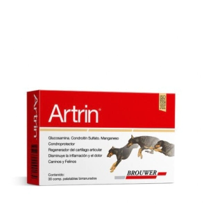ARTRIN x 30 COMP
